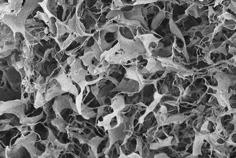 Graphene oxide sponge soaks up gold from digital waste | Evaluation