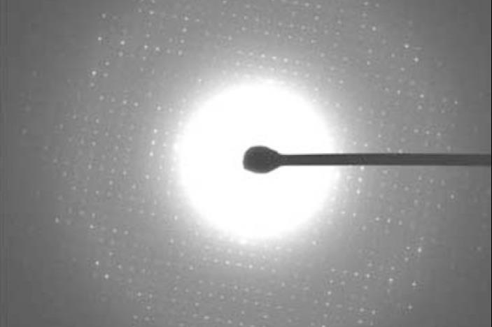 Microcrystal electron diffraction ensures a revolution in analysis of proteins, small molecules | Evaluation