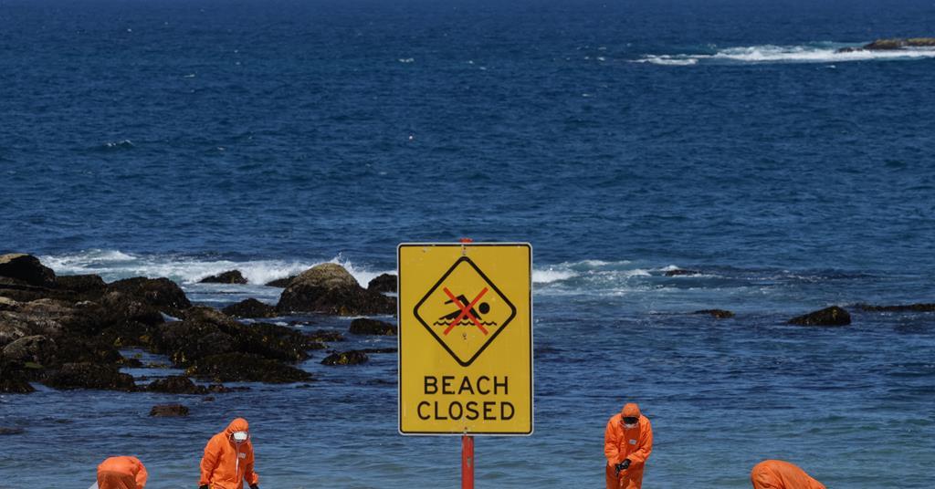 Dirty secret of mysterious ‘tar balls’ washed up on Sydney’s shores uncovered | Data