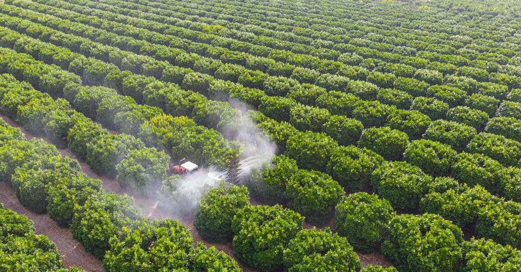 US targets to reinstate chlorpyrifos insecticide ban | Enterprise